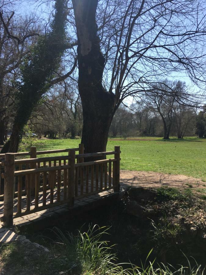 Royal Park Lejlighed Villeneuve-Loubet Eksteriør billede